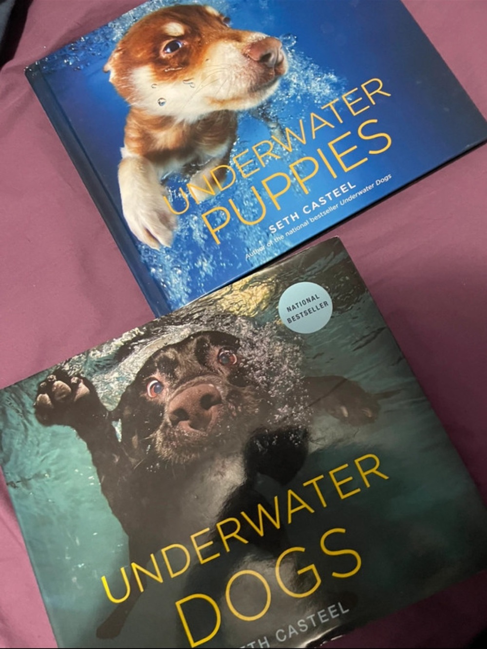Chronicle Books Underwater Puppies & Underwater Dogs - Blue and Teal Covers